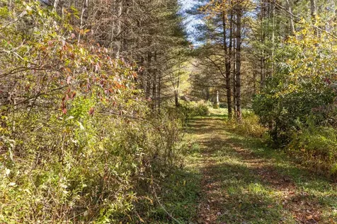 6507 Dillard Road Scaly Mountain NC 28775