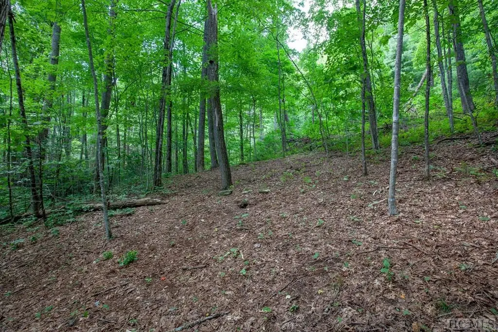 Lot 120 Lonesome Valley Sapphire NC 28774