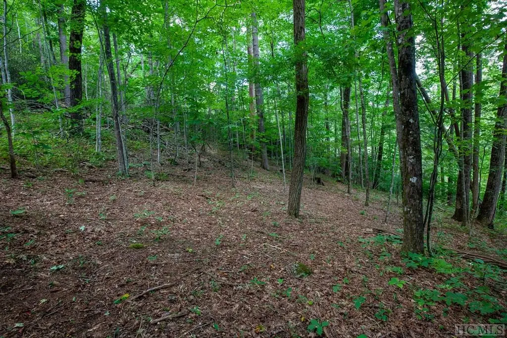 Lot 120 Lonesome Valley Sapphire NC 28774