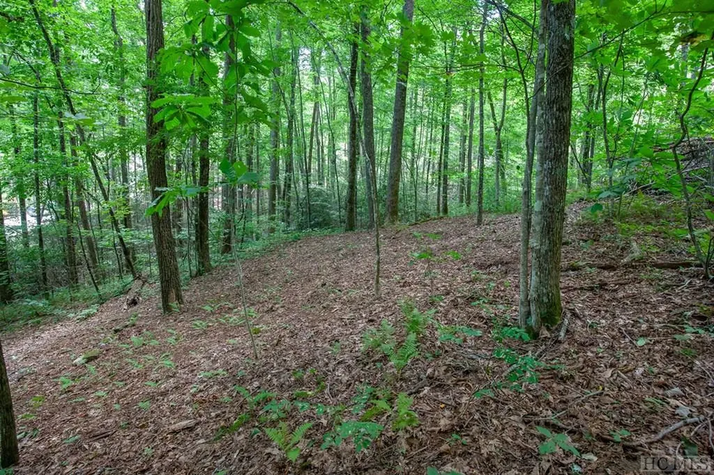 Lot 120 Lonesome Valley Sapphire NC 28774