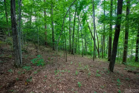 Lot 120 Lonesome Valley Sapphire NC 28774