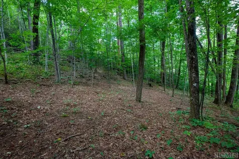 Lot 120 Lonesome Valley Sapphire NC 28774
