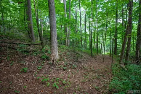 Lot 120 Lonesome Valley Sapphire NC 28774