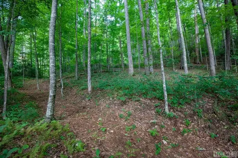 Lot 120 Lonesome Valley Sapphire NC 28774