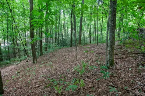 Lot 120 Lonesome Valley Sapphire NC 28774