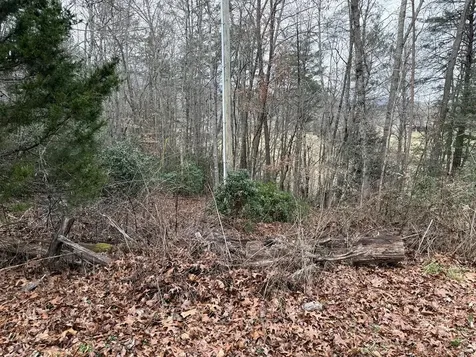 Lot 33 Ideal Acres Otto NC 28763
