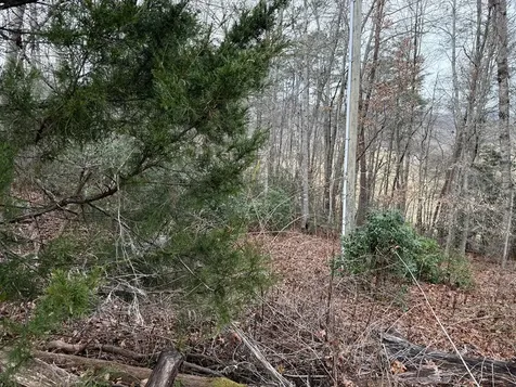 Lot 33 Ideal Acres Otto NC 28763