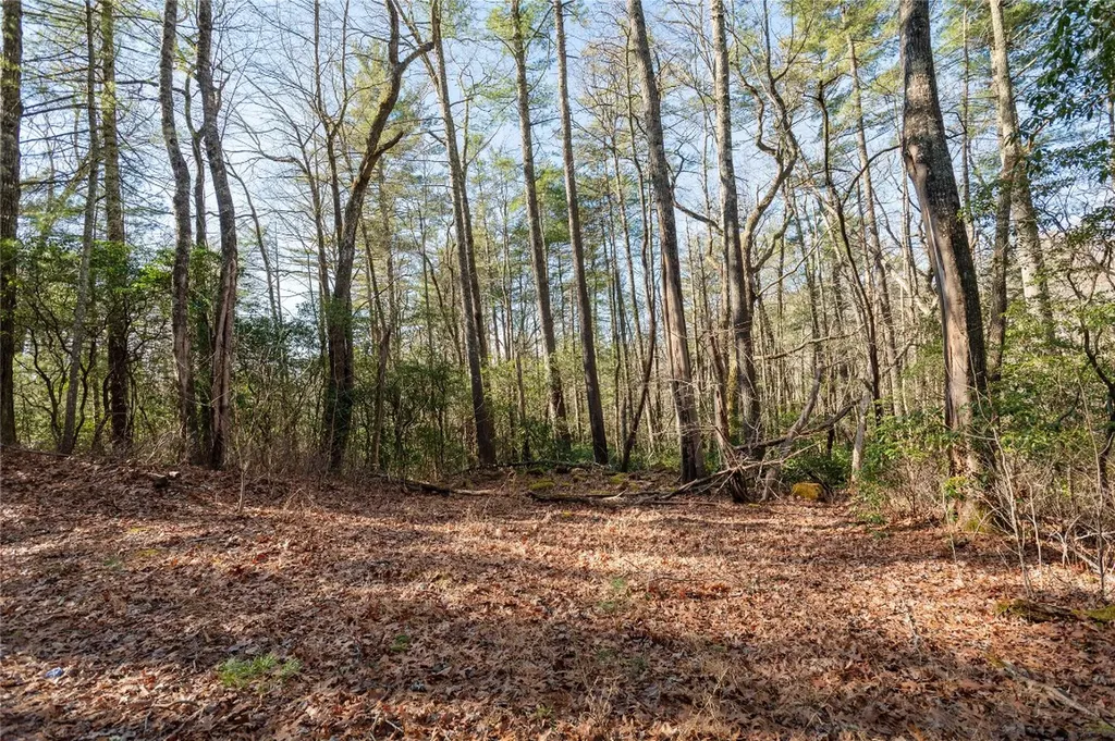 Lot 67 Big Pine Road Sapphire NC 28774
