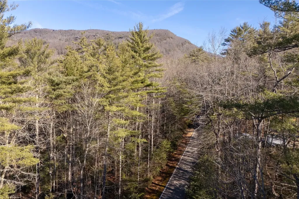 Lot 67 Big Pine Road Sapphire NC 28774