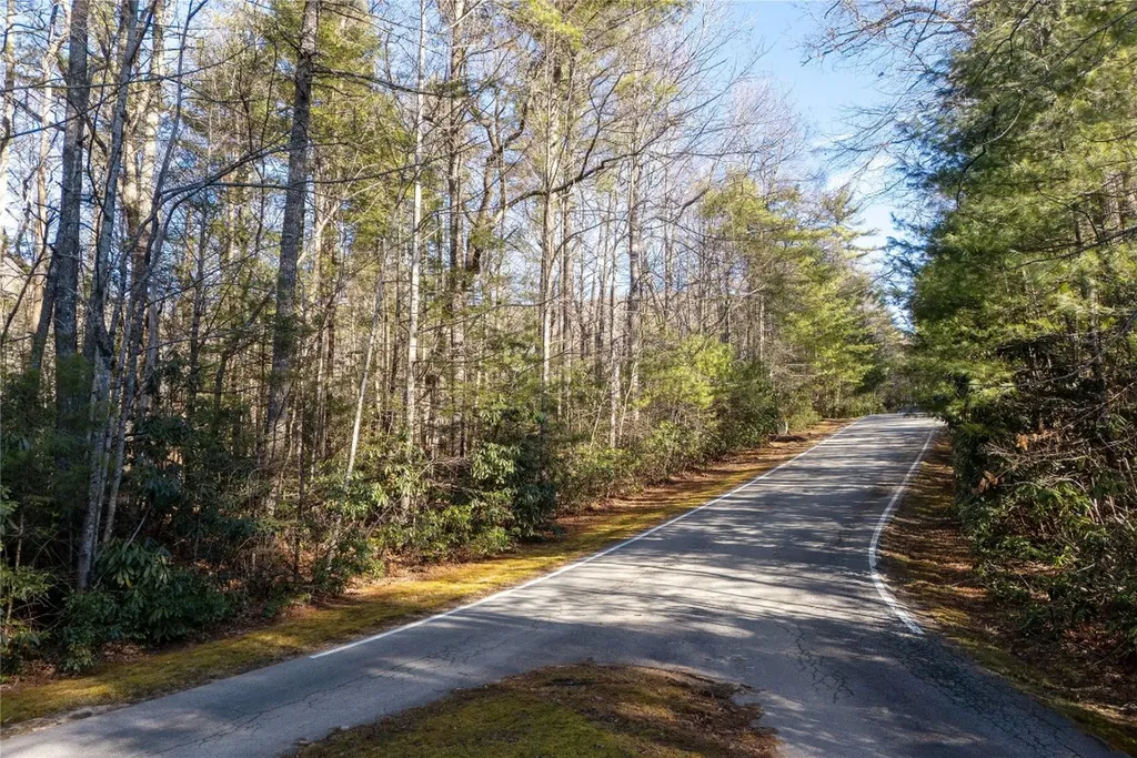 Lot 67 Big Pine Road Sapphire NC 28774