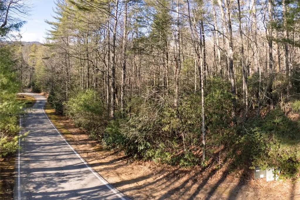 Lot 67 Big Pine Road Sapphire NC 28774