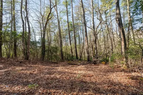 Lot 67 Big Pine Road Sapphire NC 28774