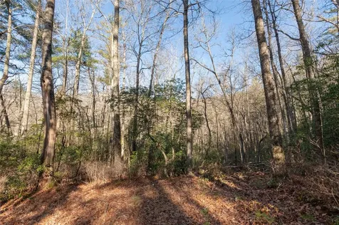 Lot 67 Big Pine Road Sapphire NC 28774
