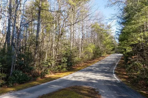 Lot 67 Big Pine Road Sapphire NC 28774