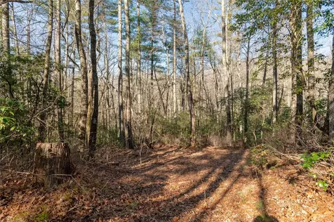 Lot 67 Big Pine Road Sapphire NC 28774