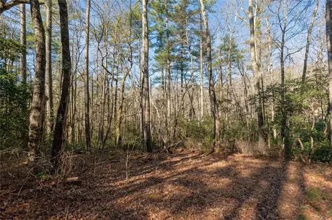 Lot 67 Big Pine Road Sapphire NC 28774