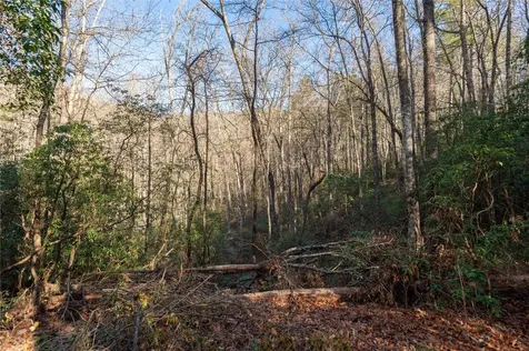 Lot 67 Big Pine Road Sapphire NC 28774