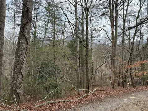 Lot 31 Ideal Acres Otto NC 28763