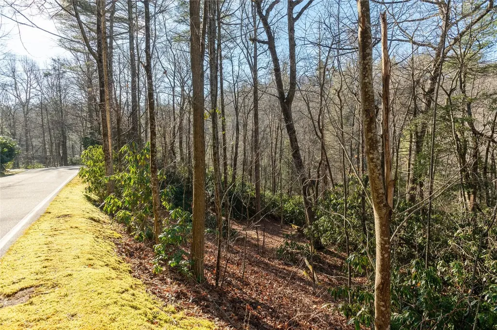 Lot 8r River Overlook Road Sapphire NC 28774
