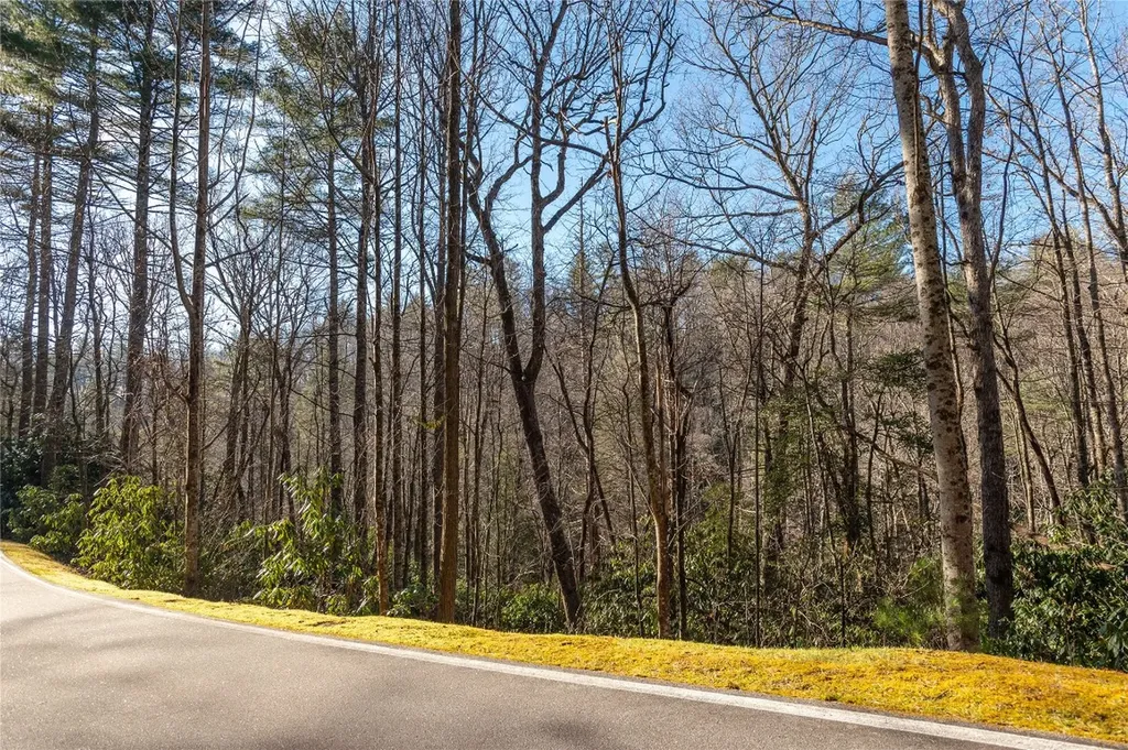 Lot 8r River Overlook Road Sapphire NC 28774