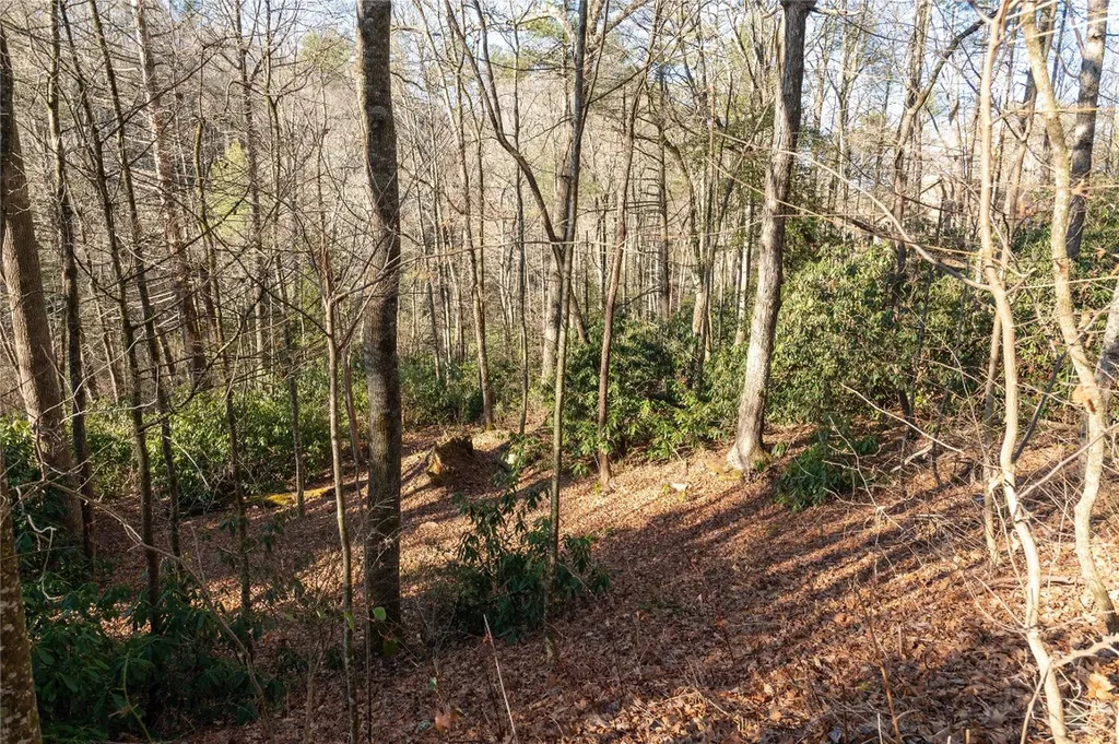 Lot 8r River Overlook Road Sapphire NC 28774