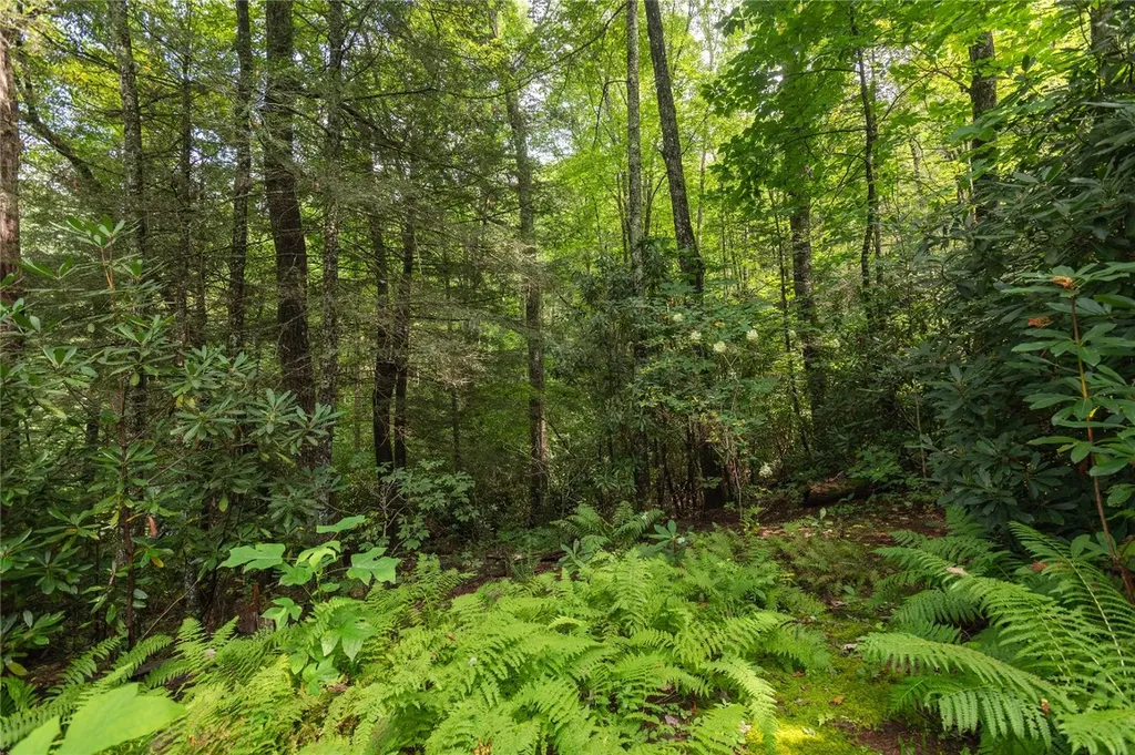 70 Mallet Mountain Way Cashiers NC 28717