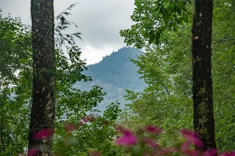 70 Mallet Mountain Way Cashiers NC 28717