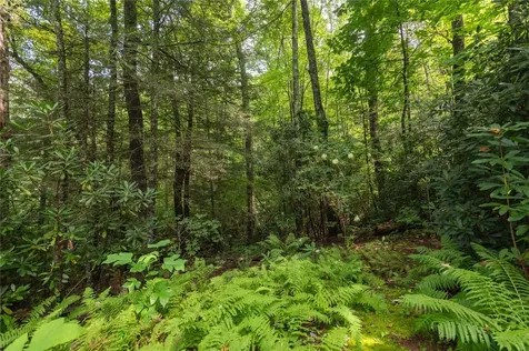 70 Mallet Mountain Way Cashiers NC 28717