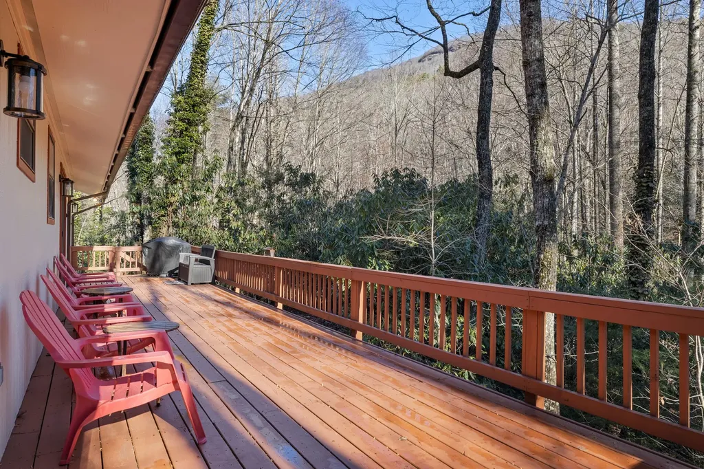 1514 W Christy Trail Sapphire NC 28774