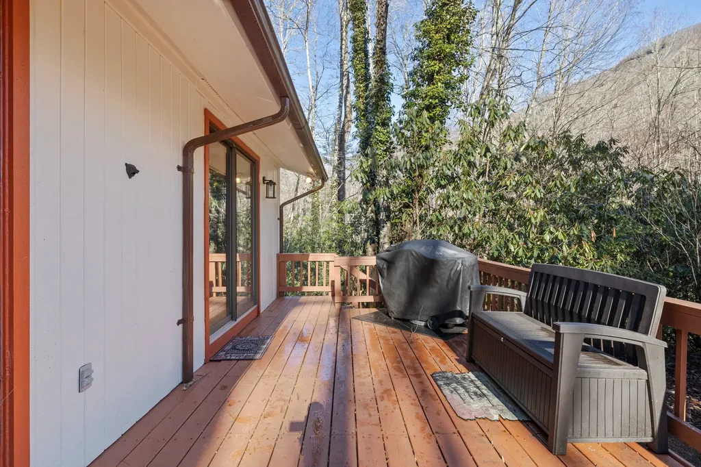 1514 W Christy Trail Sapphire NC 28774