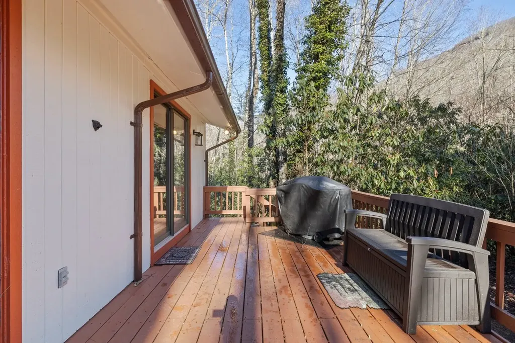 1514 W Christy Trail Sapphire NC 28774