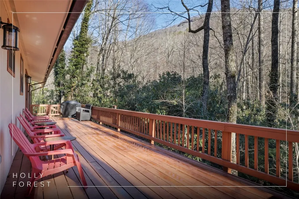 1514 W Christy Trail Sapphire NC 28774