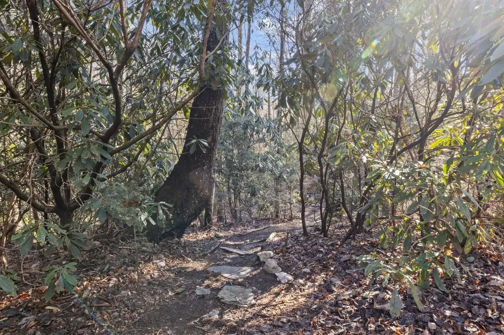 1514 W Christy Trail Sapphire NC 28774