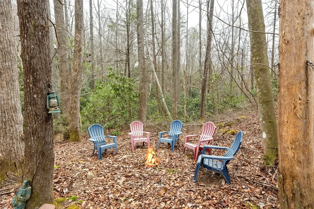 1514 W Christy Trail Sapphire NC 28774