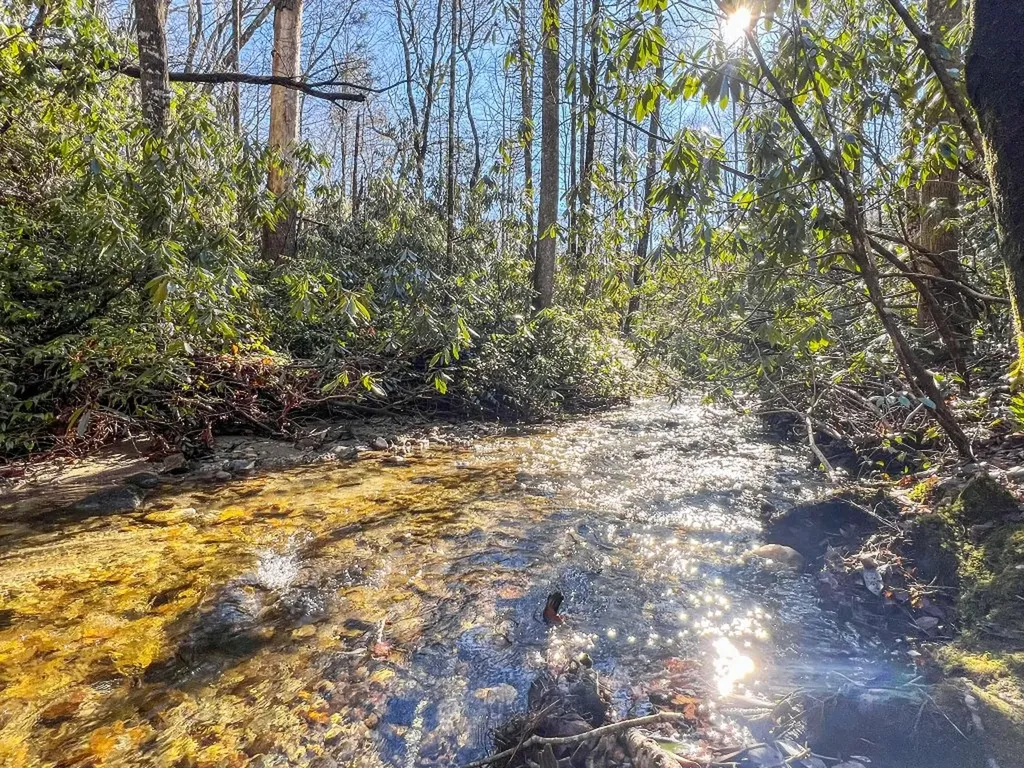 1514 W Christy Trail Sapphire NC 28774