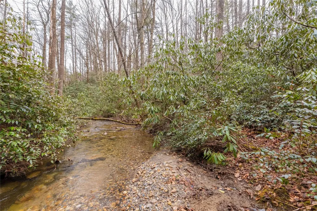 1514 W Christy Trail Sapphire NC 28774