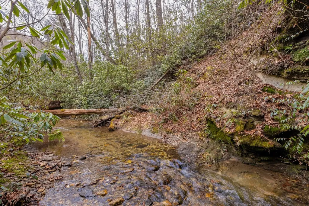 1514 W Christy Trail Sapphire NC 28774