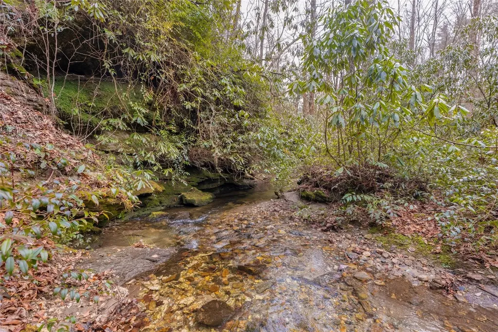 1514 W Christy Trail Sapphire NC 28774