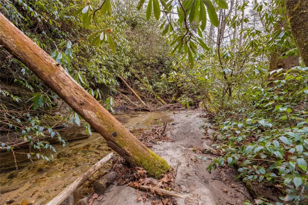 1514 W Christy Trail Sapphire NC 28774