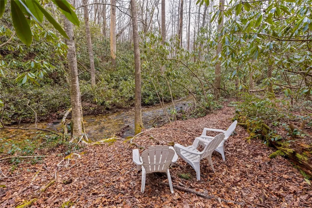 1514 W Christy Trail Sapphire NC 28774