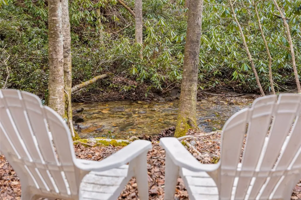 1514 W Christy Trail Sapphire NC 28774