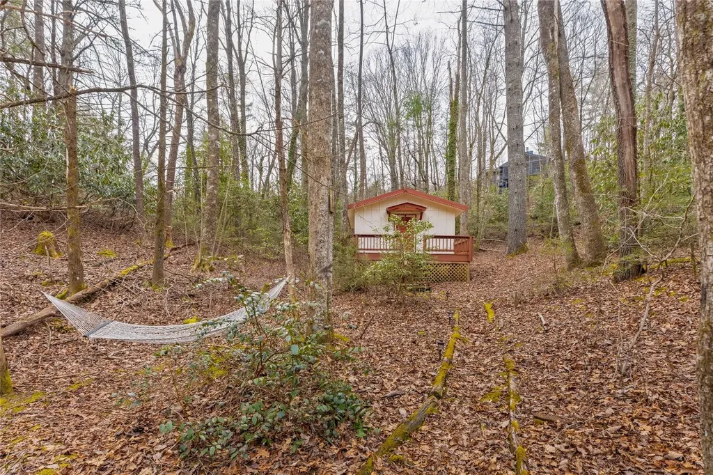 1514 W Christy Trail Sapphire NC 28774