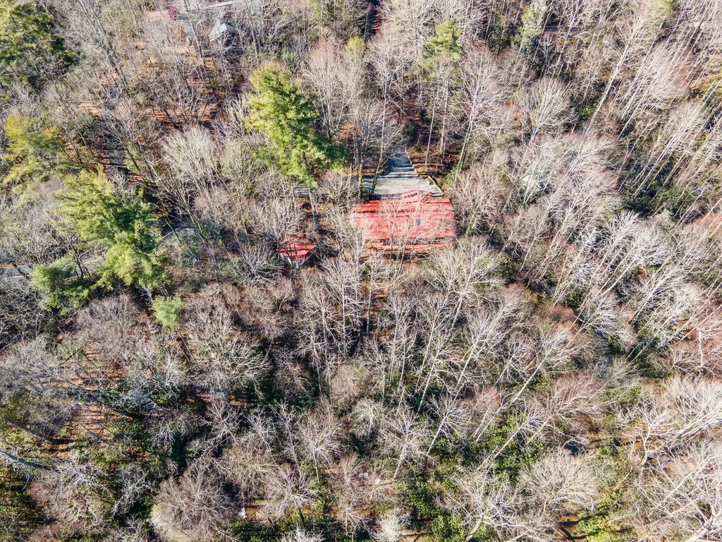 1514 W Christy Trail Sapphire NC 28774