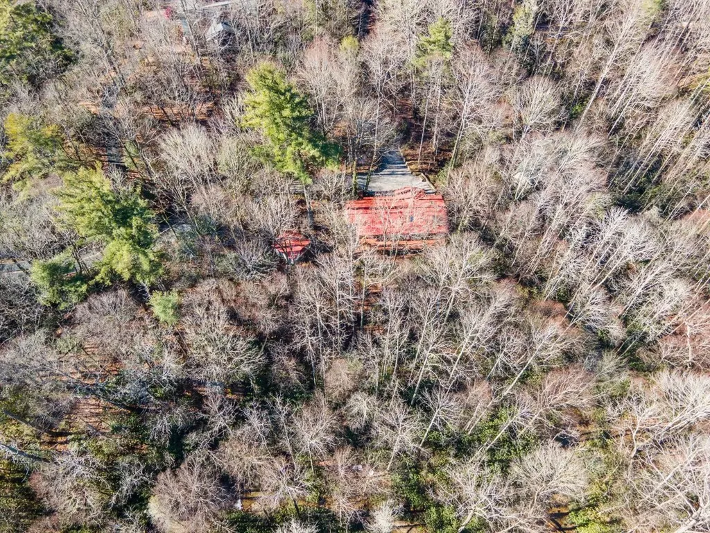 1514 W Christy Trail Sapphire NC 28774