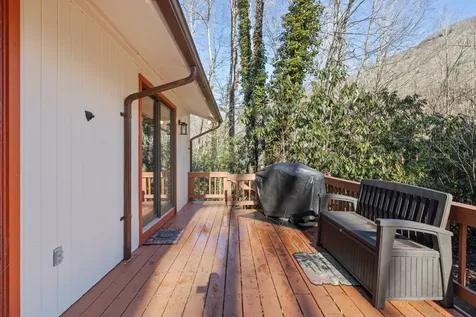 1514 W Christy Trail Sapphire NC 28774