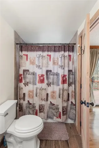 1514 W Christy Trail Sapphire NC 28774