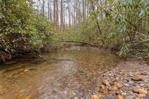 1514 W Christy Trail Sapphire NC 28774