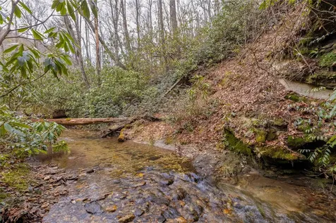 1514 W Christy Trail Sapphire NC 28774