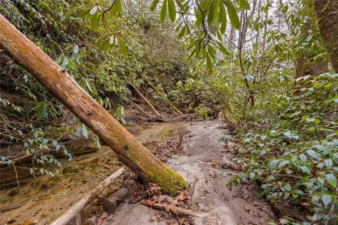 1514 W Christy Trail Sapphire NC 28774