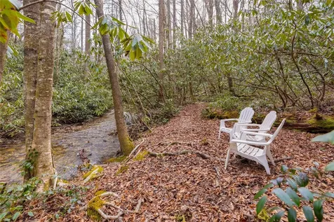 1514 W Christy Trail Sapphire NC 28774